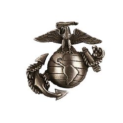 Odznak USMC STBRN MATN - zvtit obrzek