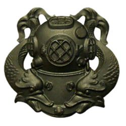 Odznak US DIVER 1st Class ERN - zvtit obrzek