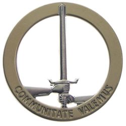 Odznak BW na baret 1. NL/D-CORPS kovov