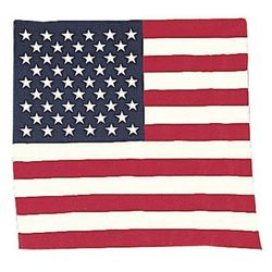 Šátek 55 x 55 cm U.S. vlajka